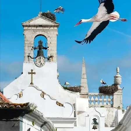 Проживание в семье Black Hill Фару